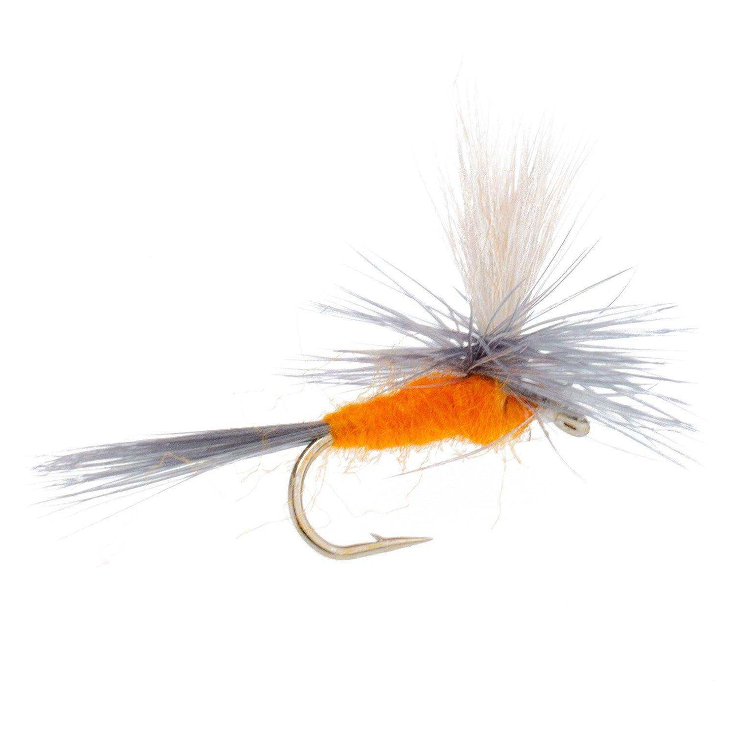 Eastern Trout Fly Assortment - 24 Essential Dry and Nymph Fly Fishing Flies Collection - Trout Flies with Gift Fly Box - Skoutley Outdoors LLC