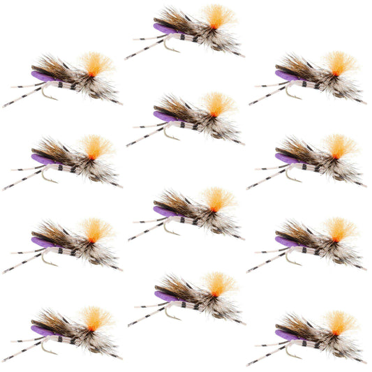 Feth Hopper Purple - Foam Grasshopper Fly Pattern - 1 Dozen Flies Hook Size 10 - Skoutley Outdoors LLC