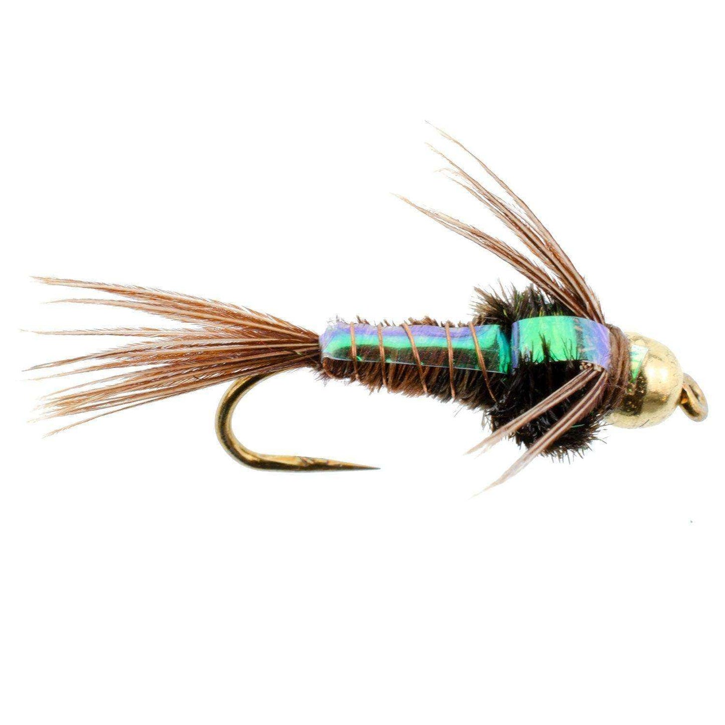 Barbless Bead Head Flashback Pheasant Tail Nymph Fly 6 Flies Hook Size 14 - Skoutley Outdoors LLC