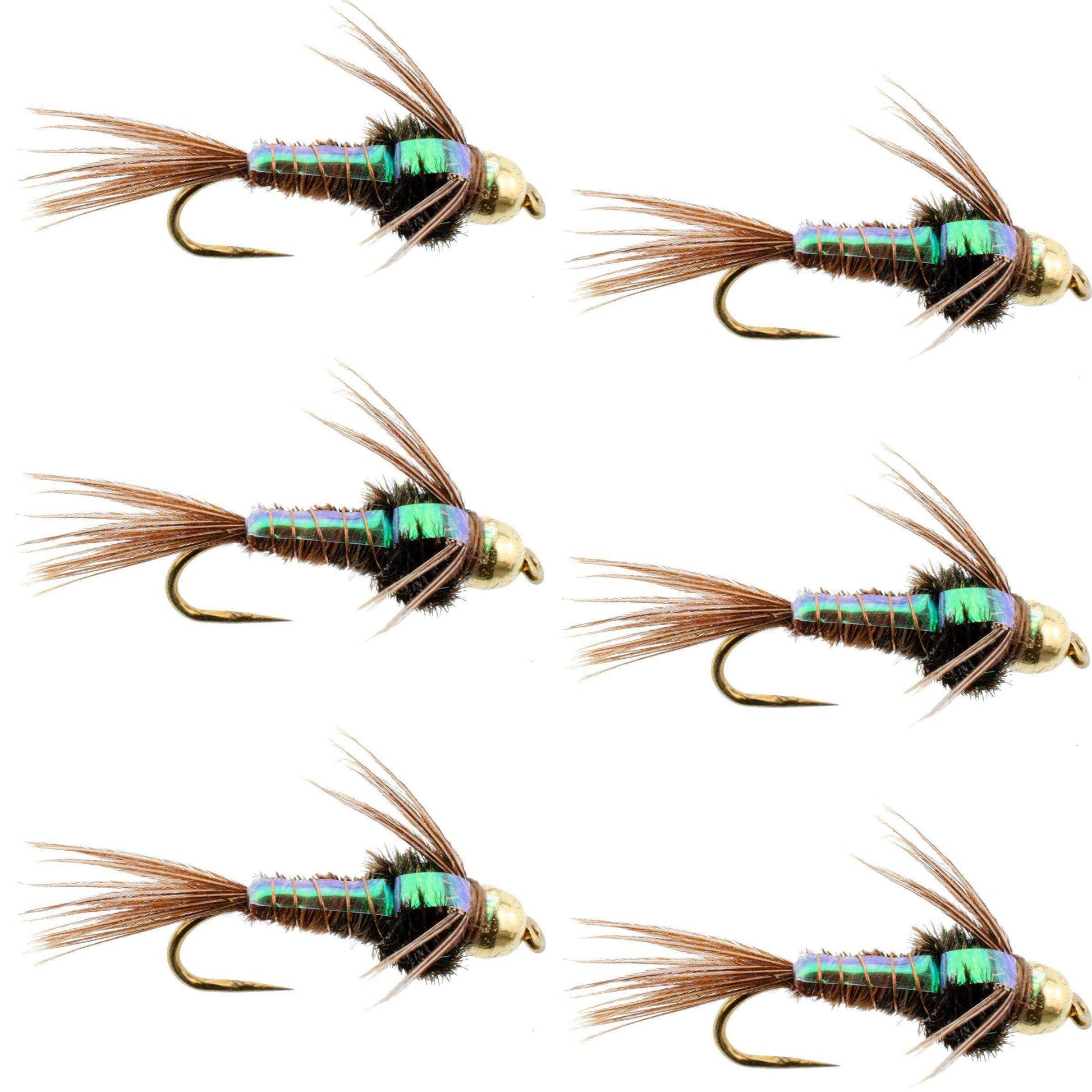 Barbless Bead Head Flashback Pheasant Tail Nymph Fly 6 Flies Hook Size 12 - Skoutley Outdoors LLC