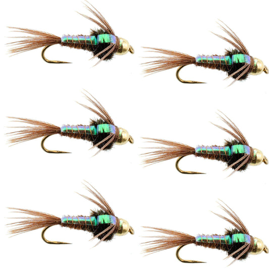 Barbless Bead Head Flashback Pheasant Tail Nymph Fly 6 Flies Hook Size 18 - Skoutley Outdoors LLC