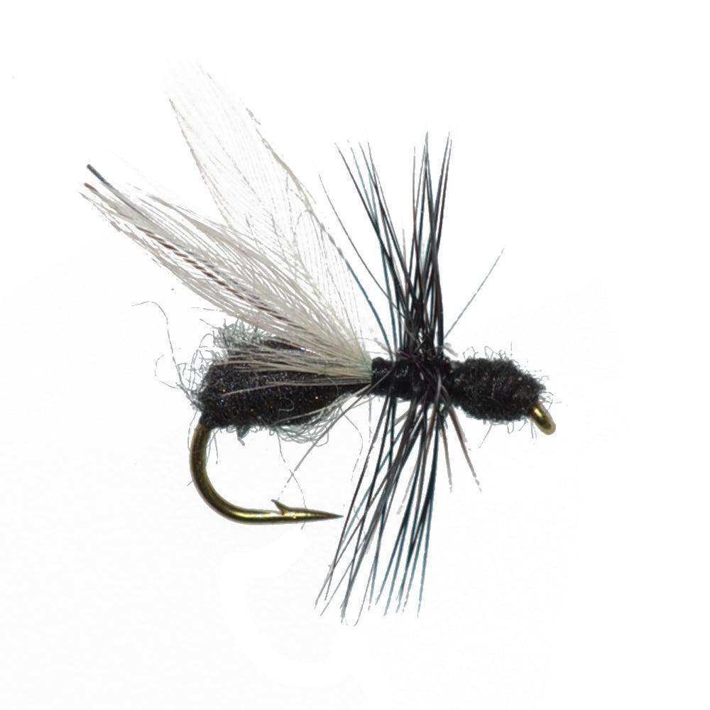 The Fly Fishing Place Basics Collection - Terrestrials Dry Fly Assortment - 10 Dry Fishing Flies - Hopper, Ant and Beetle Fishing Fly Patterns - Hook Sizes 10, 12 and 14 - Skoutley Outdoors LLC