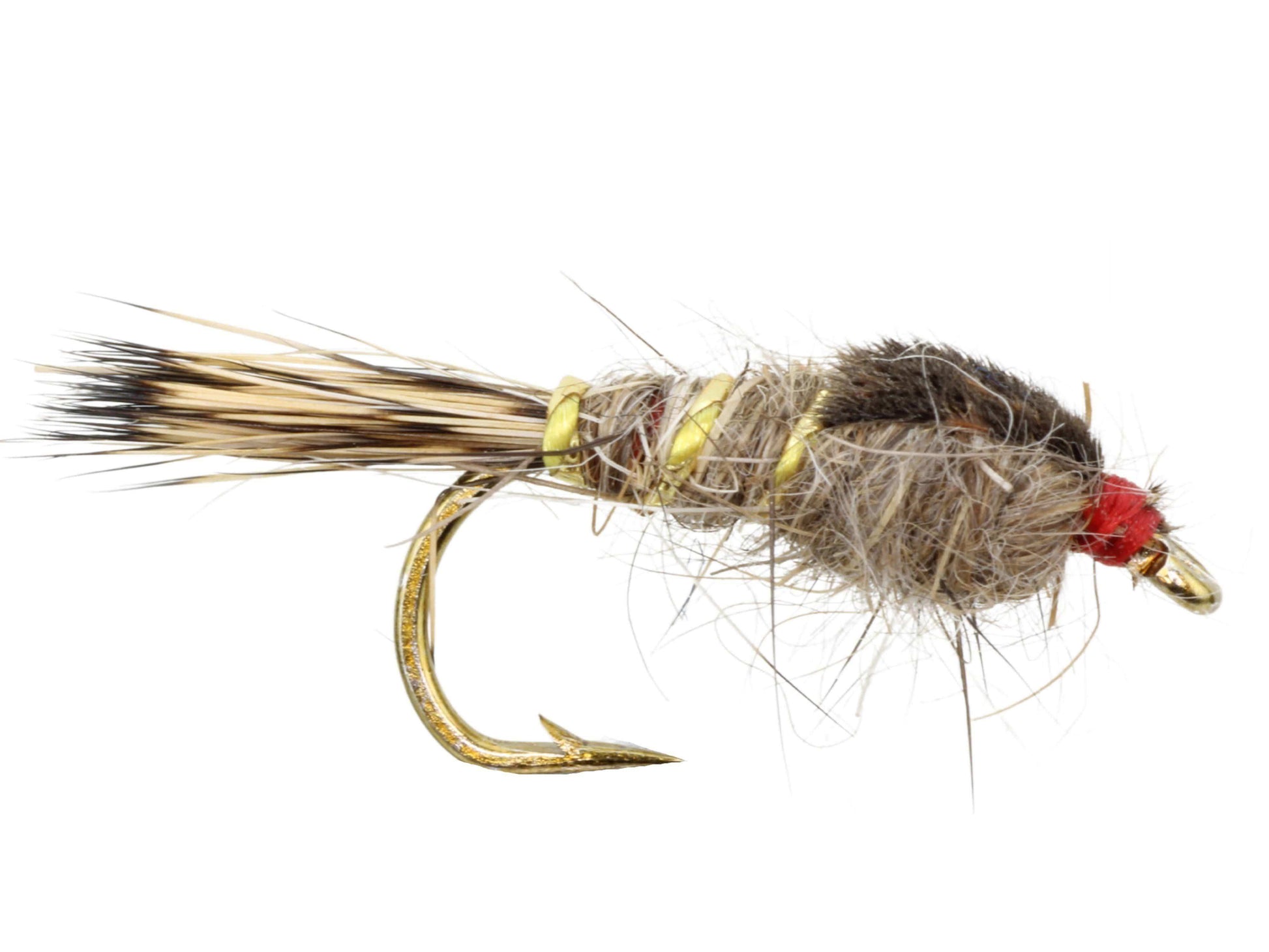 Gold Ribbed Hare's Ear Nymph, Size 12 | Qty. 6 | Wild Water Fly Fishing - Skoutley Outdoors LLC