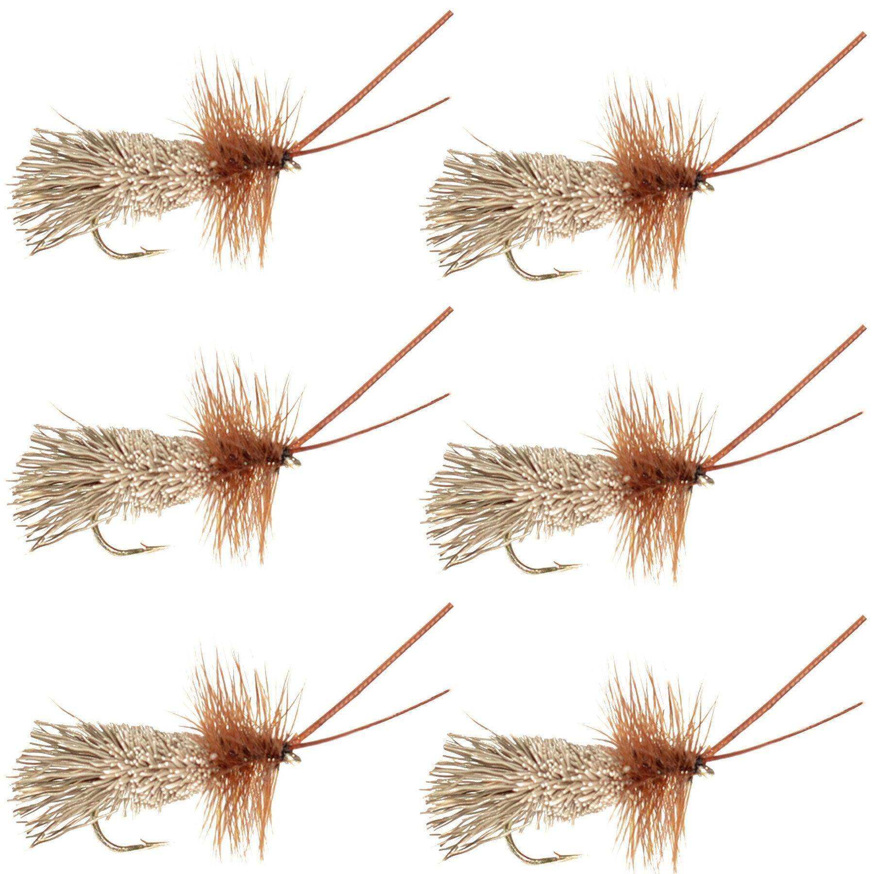 Goddard Caddis Dry Fly - 6 Flies Hook Size 16 - Skoutley Outdoors LLC