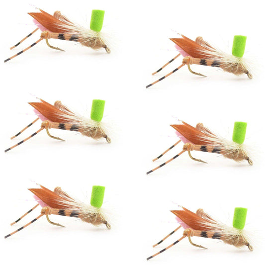 Green Top Hopper Foam Body Grasshopper Fly - 6 Flies Hook Size 10 - Skoutley Outdoors LLC