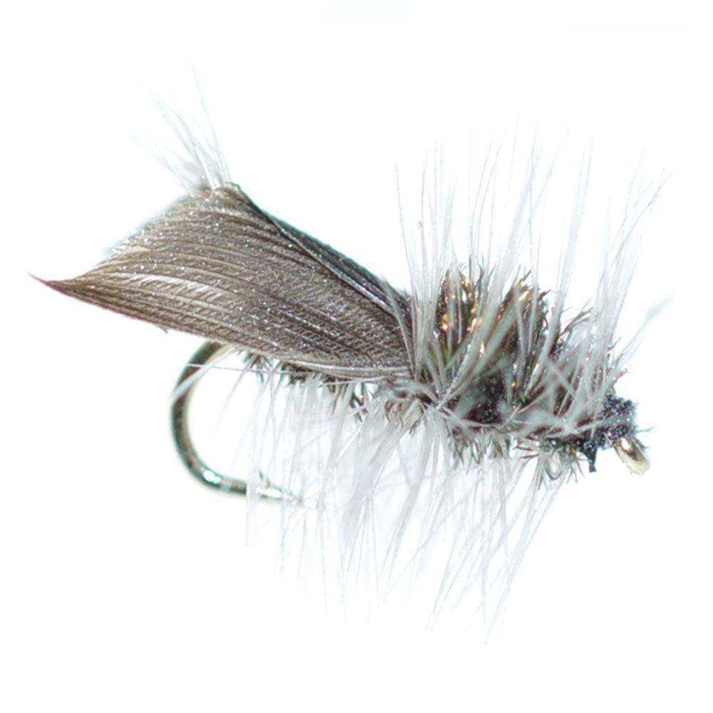 Basics Collection - Essential Caddis Dry Fly Assortment - 10 Dry Fishing Flies - 5 Patterns - Hook Sizes 12, 14, 16, 18 - Skoutley Outdoors LLC