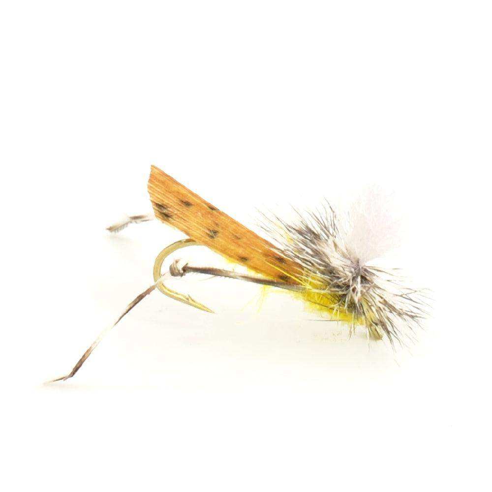 The Fly Fishing Place Basics Collection - Terrestrials Dry Fly Assortment - 10 Dry Fishing Flies - Hopper, Ant and Beetle Fishing Fly Patterns - Hook Sizes 10, 12 and 14 - Skoutley Outdoors LLC