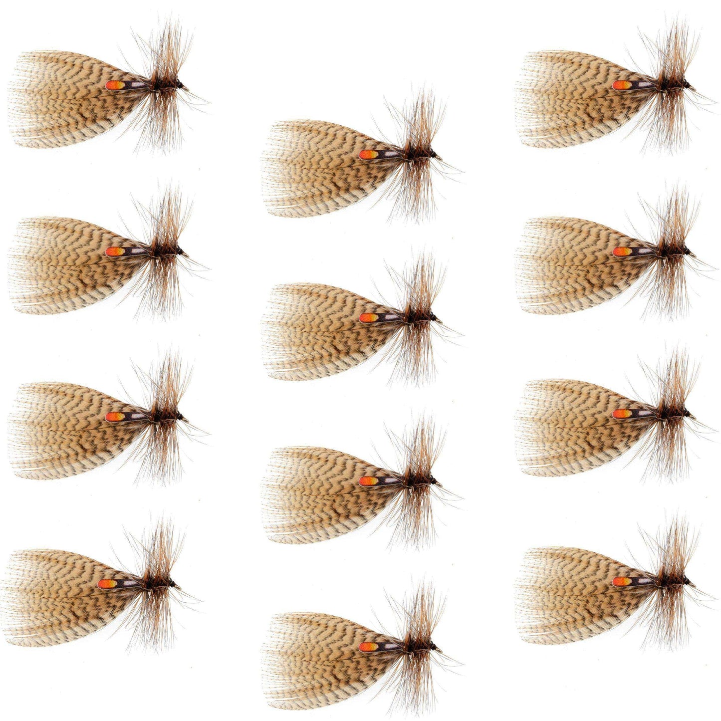 Hornberg Special Trout and Bass Streamer or Dry Fly - 12 Flies - Hook Size 8 - Skoutley Outdoors LLC