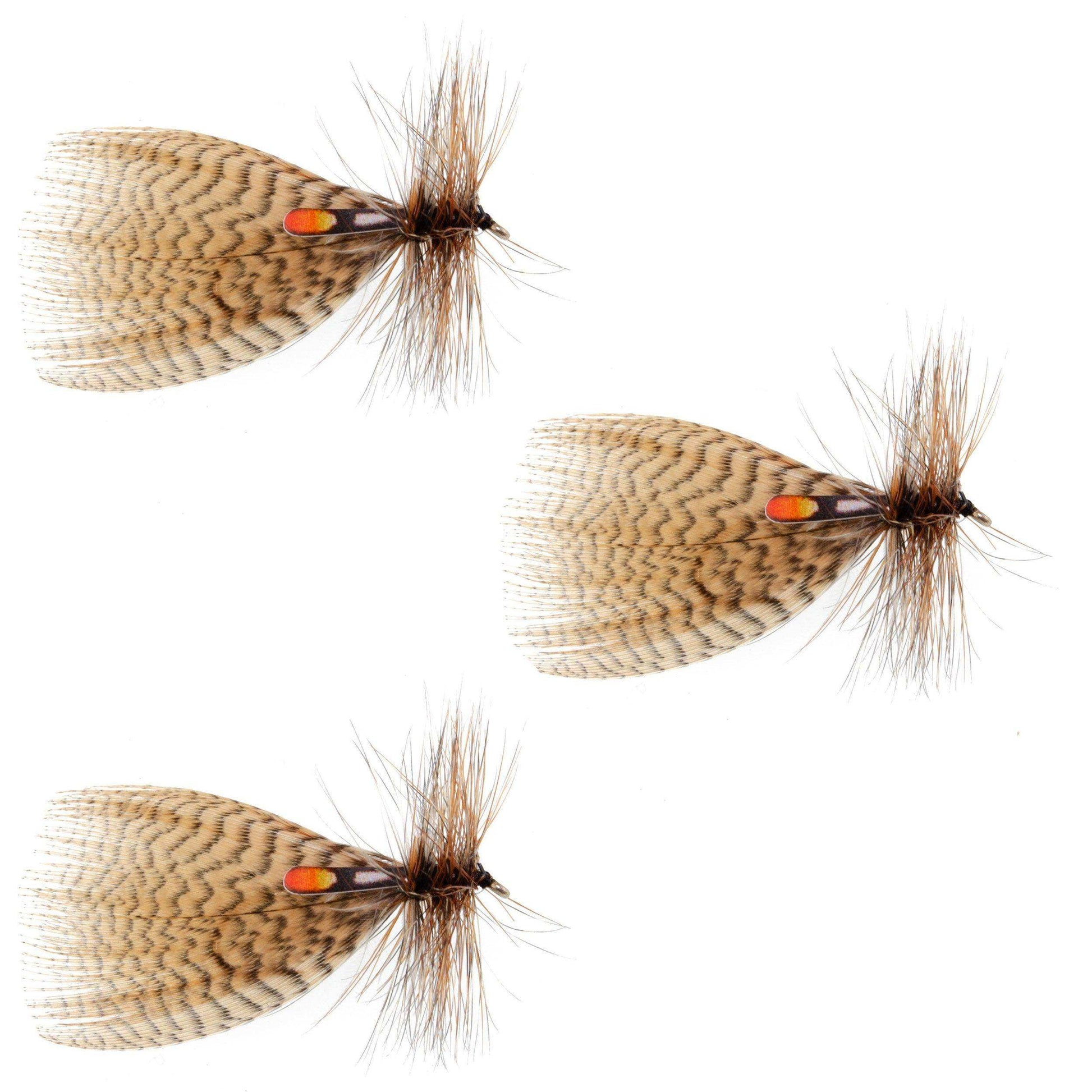 3 Pack Muddler Minnow Trout and Bass Streamer Fly - Hook Size 12 - Skoutley Outdoors LLC