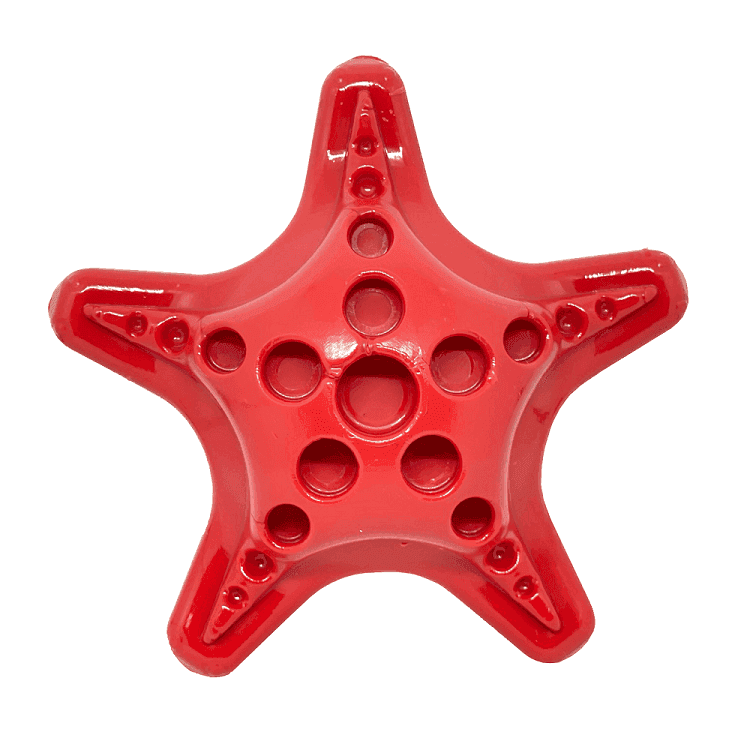 Starfish Ultra Durable Nylon Dog Chew Toy for Aggressive Chewers - Skoutley Outdoors LLC