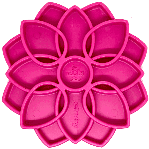 Mandala Design eTray Enrichment Tray for Dogs - Skoutley Outdoors LLC