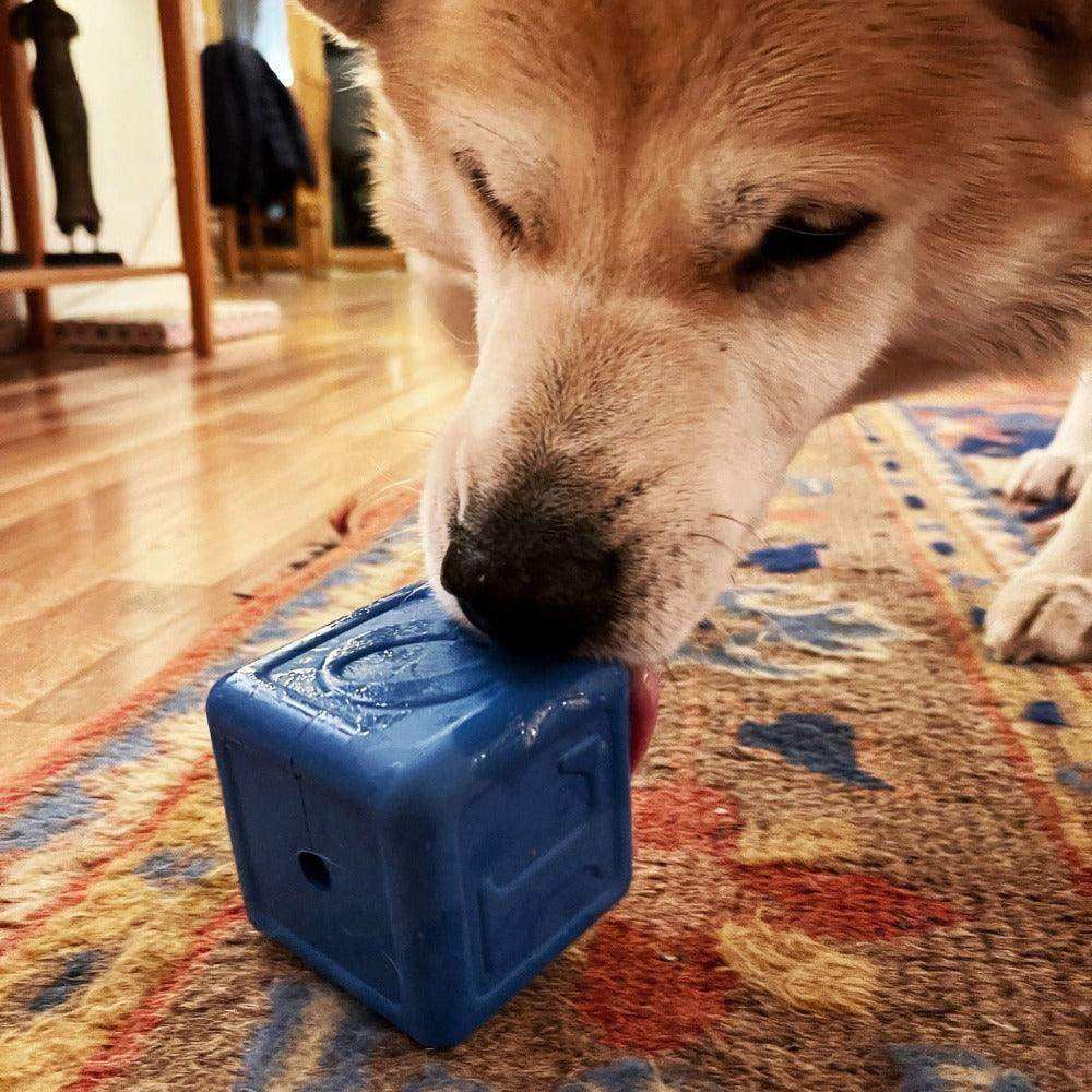 Love Cube eDispenser Durable Rubber Chew Toy & Treat Dispenser - Skoutley Outdoors LLC