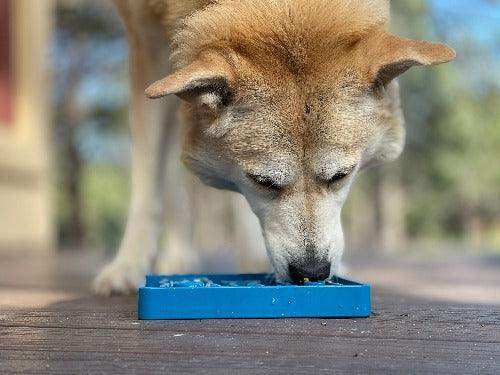 Waiting Dogs Design eTray Enrichment Tray for Dogs - Skoutley Outdoors LLC