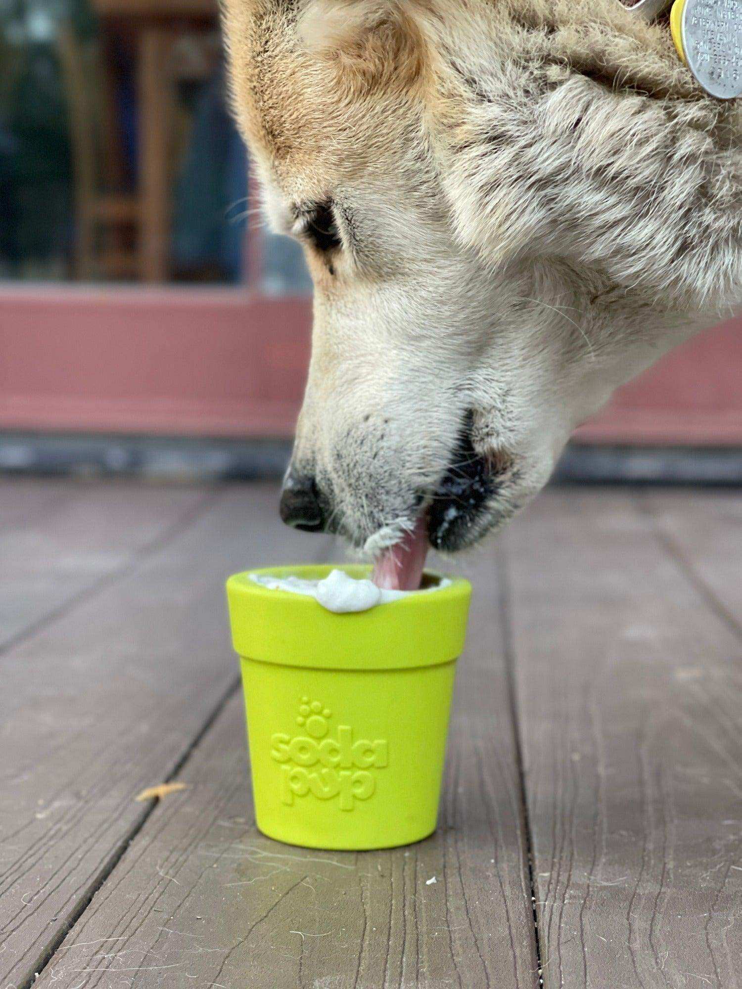 Large Flower Pot Durable PUP-X Rubber eCup Treat Dispenser & Enrichment Toy - Skoutley Outdoors LLC