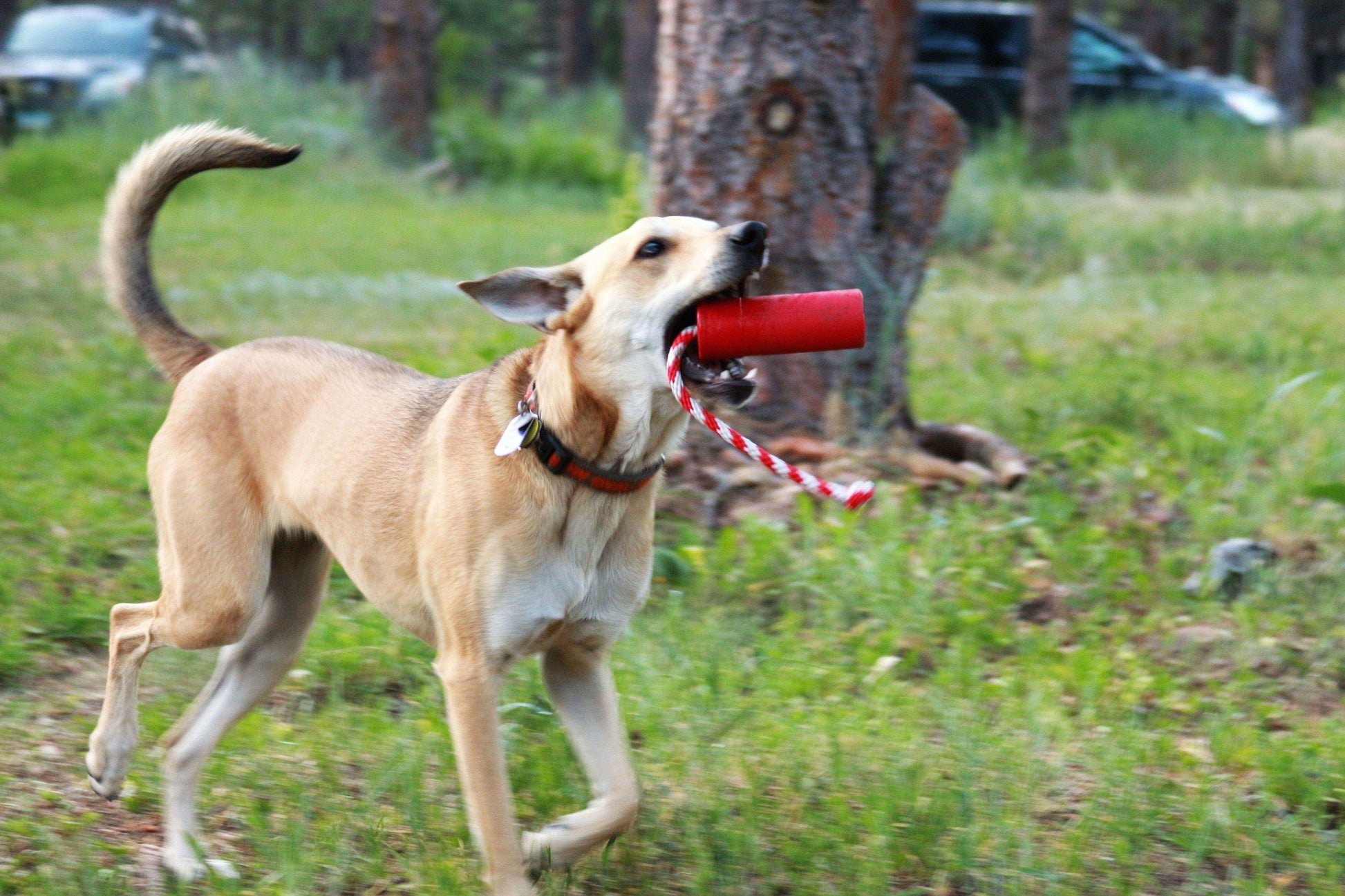 USA-K9 Firecracker Durable Rubber Floating Training Dummy - Large - Red - Skoutley Outdoors LLC