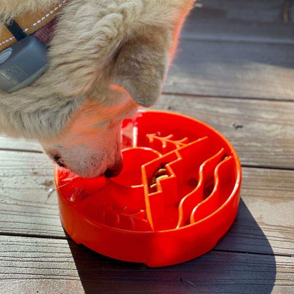 Great Outdoors Design eBowl Enrichment Slow Feeder Bowl for Dogs - Skoutley Outdoors LLC