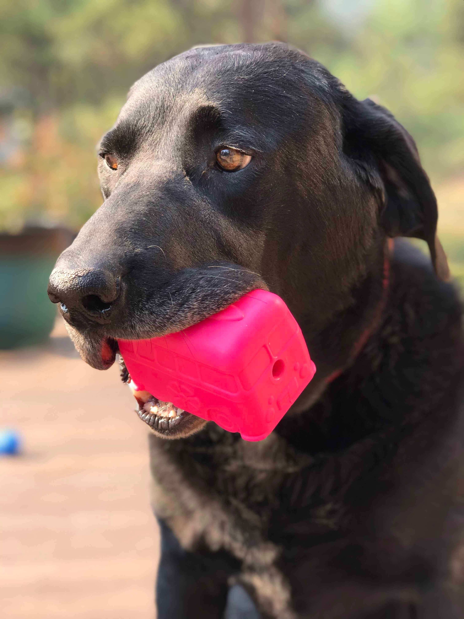 Surf's Up! Retro Van Durable Chew Toy & Treat Dispenser - Skoutley Outdoors LLC