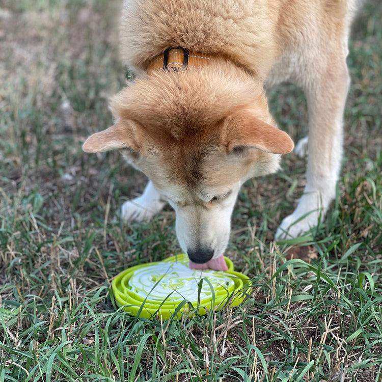 Water Frog Design eTray Enrichment Tray for Dogs - Skoutley Outdoors LLC