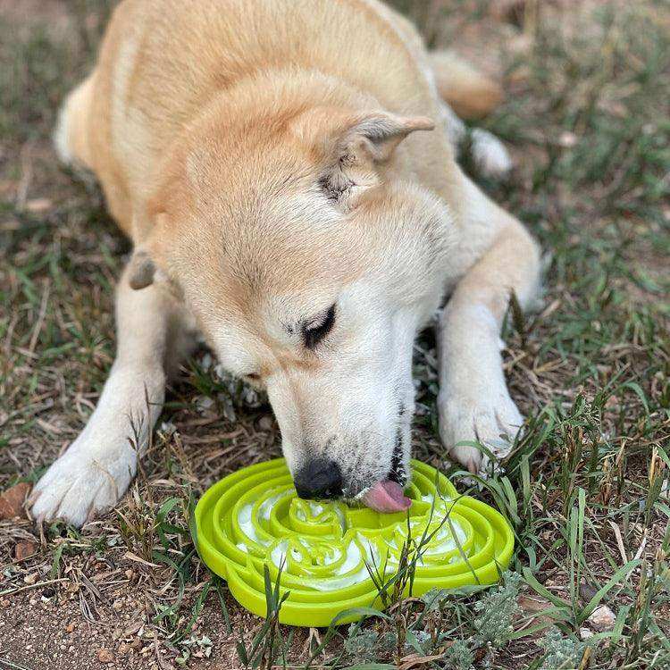 Water Frog Design eTray Enrichment Tray for Dogs - Skoutley Outdoors LLC