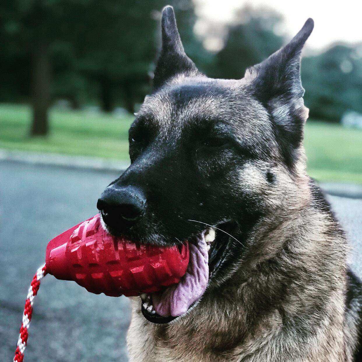 USA-K9 Grenade Durable Rubber Chew Toy, Treat Dispenser, Reward Toy, Tug Toy, and Retrieving Toy - Skoutley Outdoors LLC