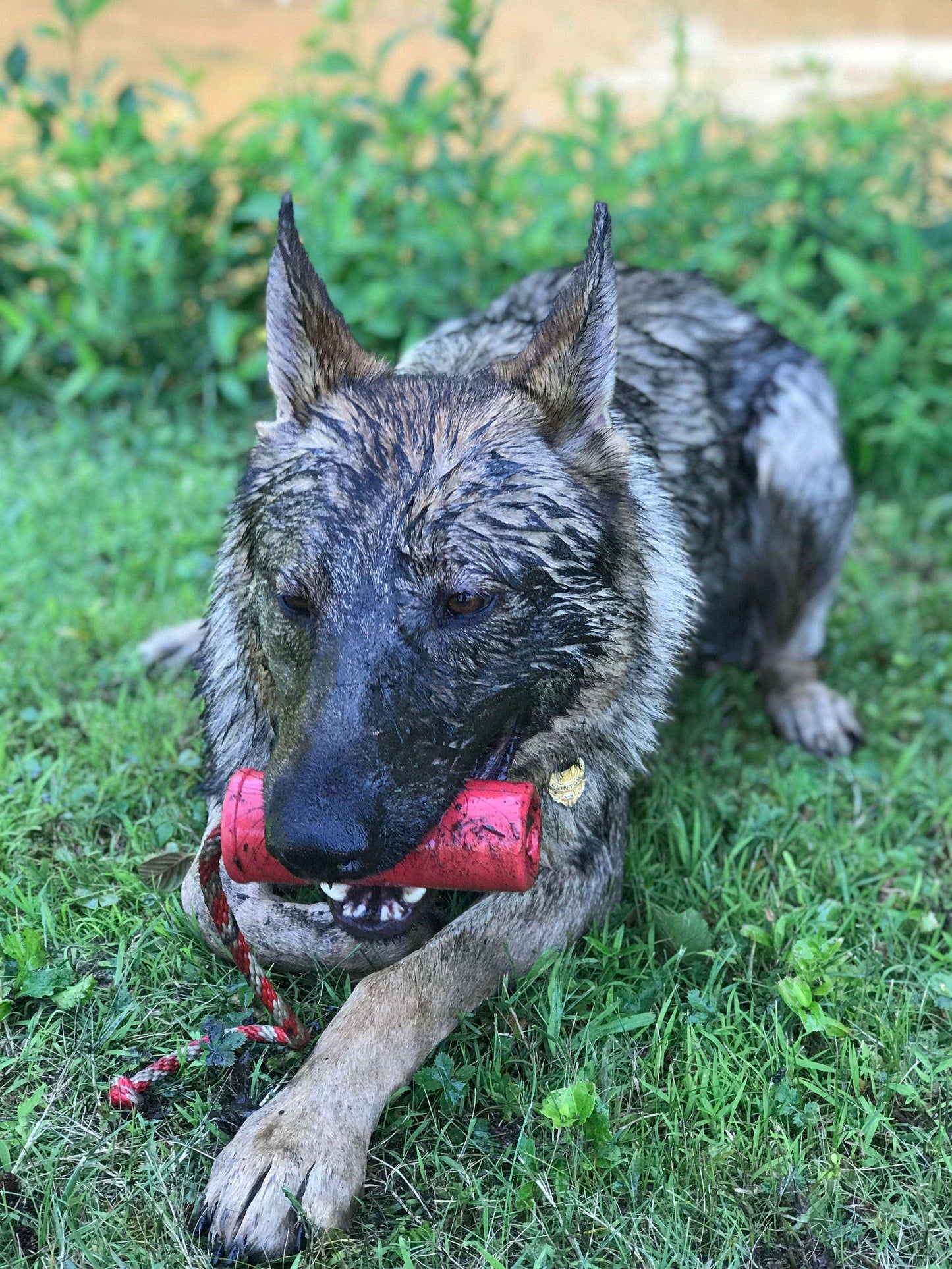 USA-K9 Firecracker Durable Rubber Floating Training Dummy - Large - Red - Skoutley Outdoors LLC