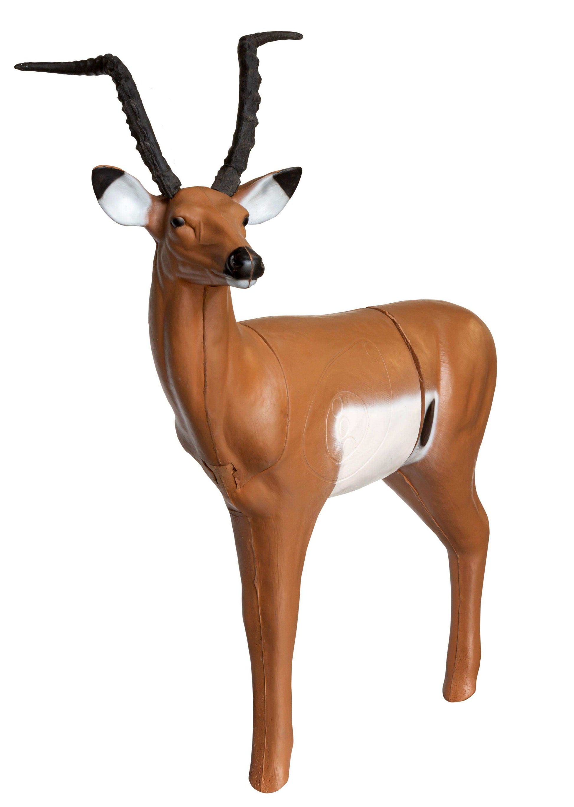 Real Wild 3D African Impala Archery Target - Skoutley Outdoors LLC