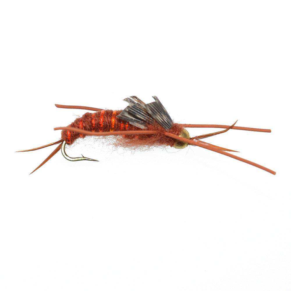 Gold Bead Kaufmann's Brown Stone Fly with Rubber Legs - Stonefly Wet Fly - 1 Dozen Flies Hook Size 6 - Skoutley Outdoors LLC