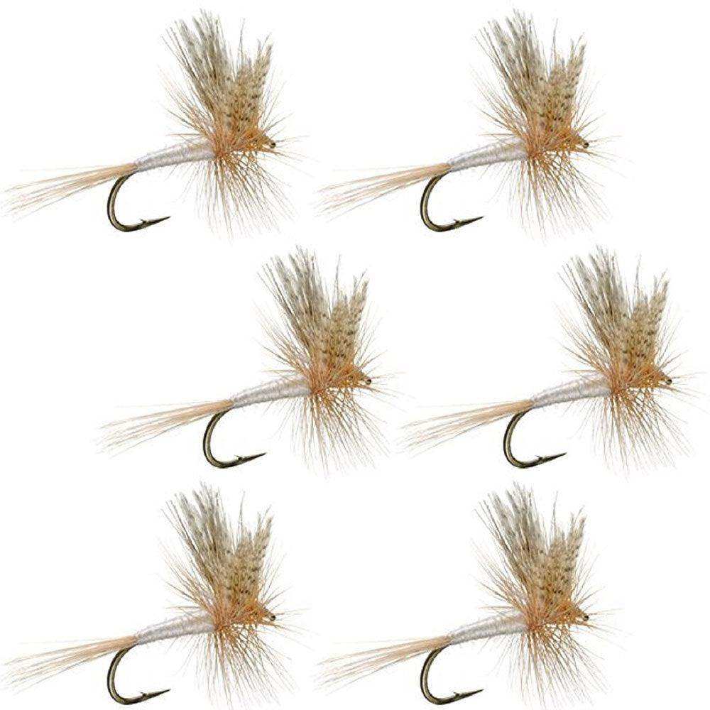 Light Cahill Classic Trout Dry Fly Fishing Flies - Set of 6 Flies Size 14 - Skoutley Outdoors LLC