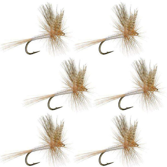 Light Cahill Classic Trout Dry Fly Fishing Flies - Set of 6 Flies Size 14 - Skoutley Outdoors LLC