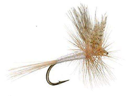 Light Cahill Classic Trout Dry Fly Fishing Flies - Set of 6 Flies Size 14 - Skoutley Outdoors LLC