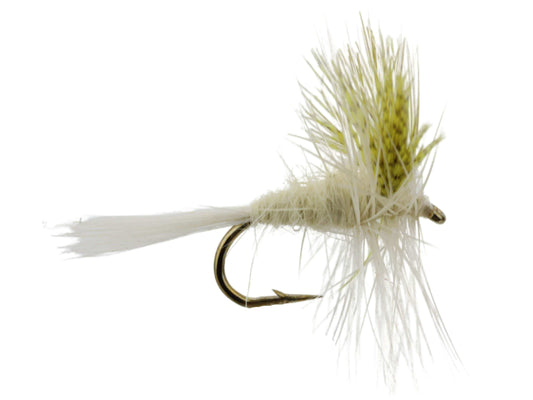 Light Cahill, Size 14 | Qty. 6 | Wild Water Fly Fishing - Skoutley Outdoors LLC