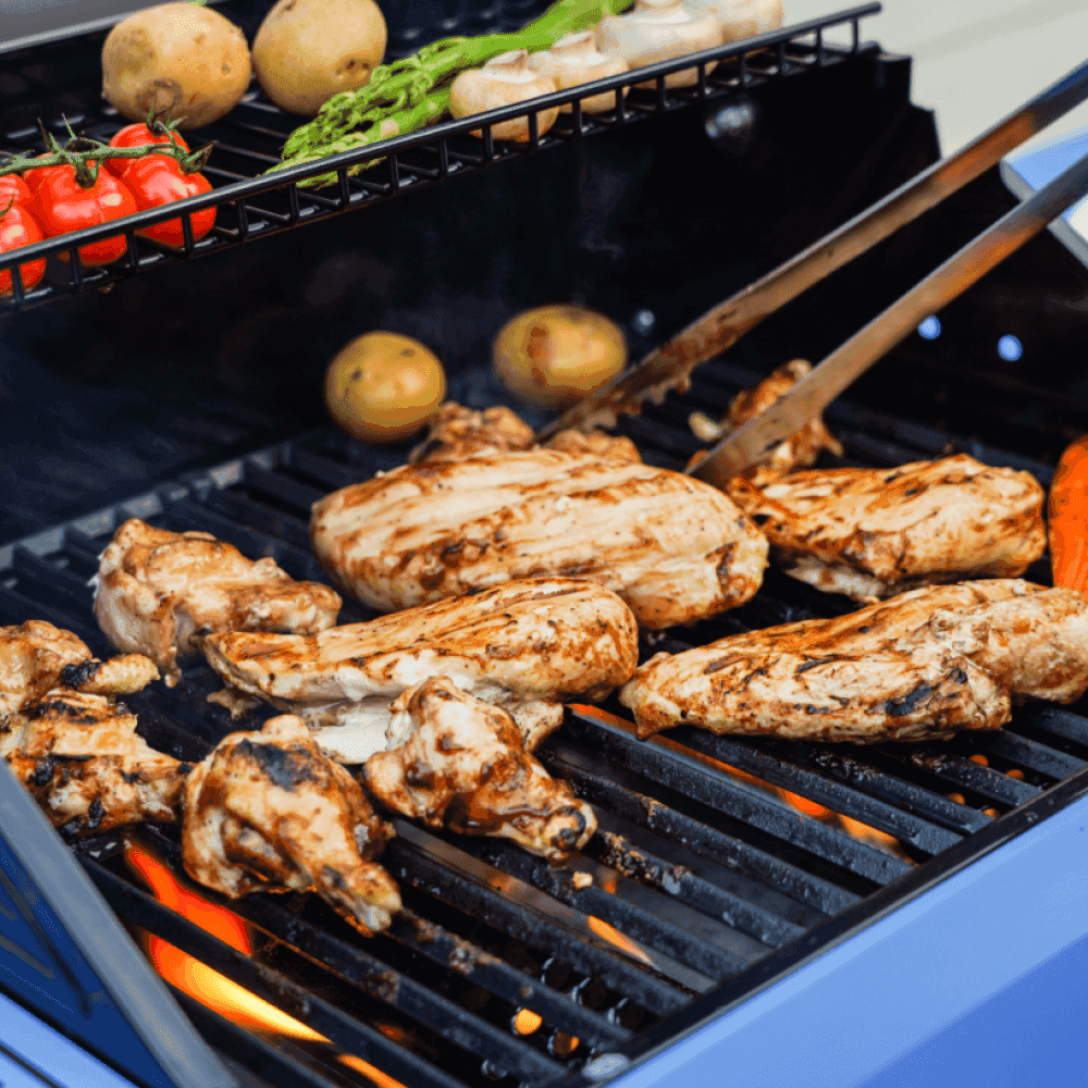 Mesa 200 | Matte Color Propane Gas Grill - Skoutley Outdoors LLC