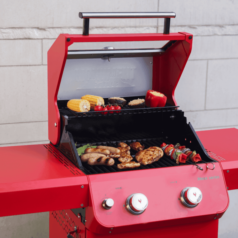 Mesa 200 | Matte Color Propane Gas Grill - Skoutley Outdoors LLC