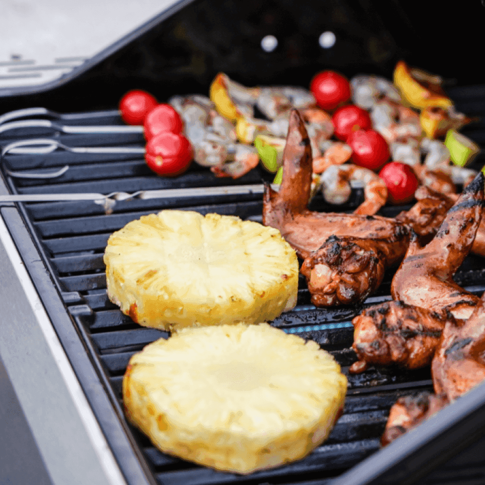 Mesa 200 | Matte Color Propane Gas Grill - Skoutley Outdoors LLC