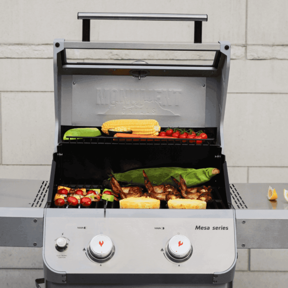 Mesa 200 | Matte Color Propane Gas Grill - Skoutley Outdoors LLC