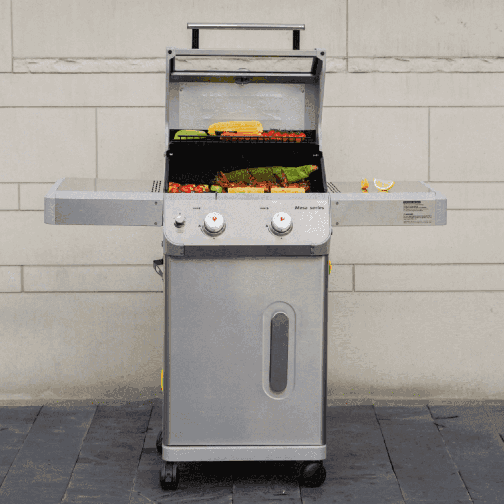 Mesa 200 | Matte Color Propane Gas Grill - Skoutley Outdoors LLC