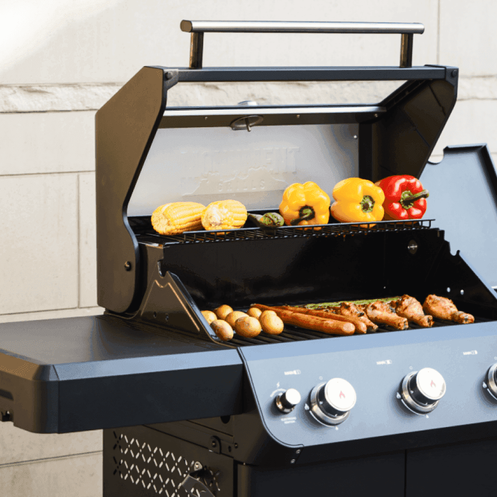 Mesa 325 | Black Propane Gas Grill - Skoutley Outdoors LLC