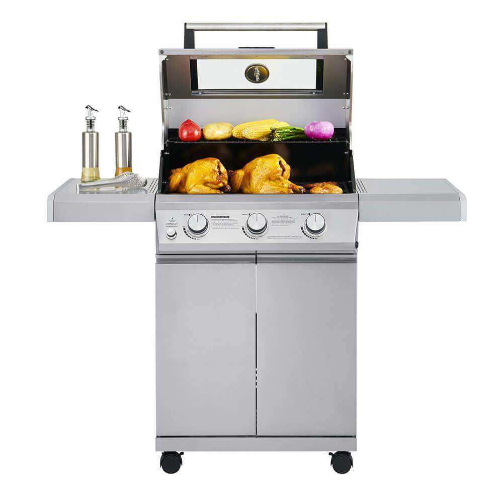 Mesa 300 | Stainless Propane Gas Grill - Skoutley Outdoors LLC