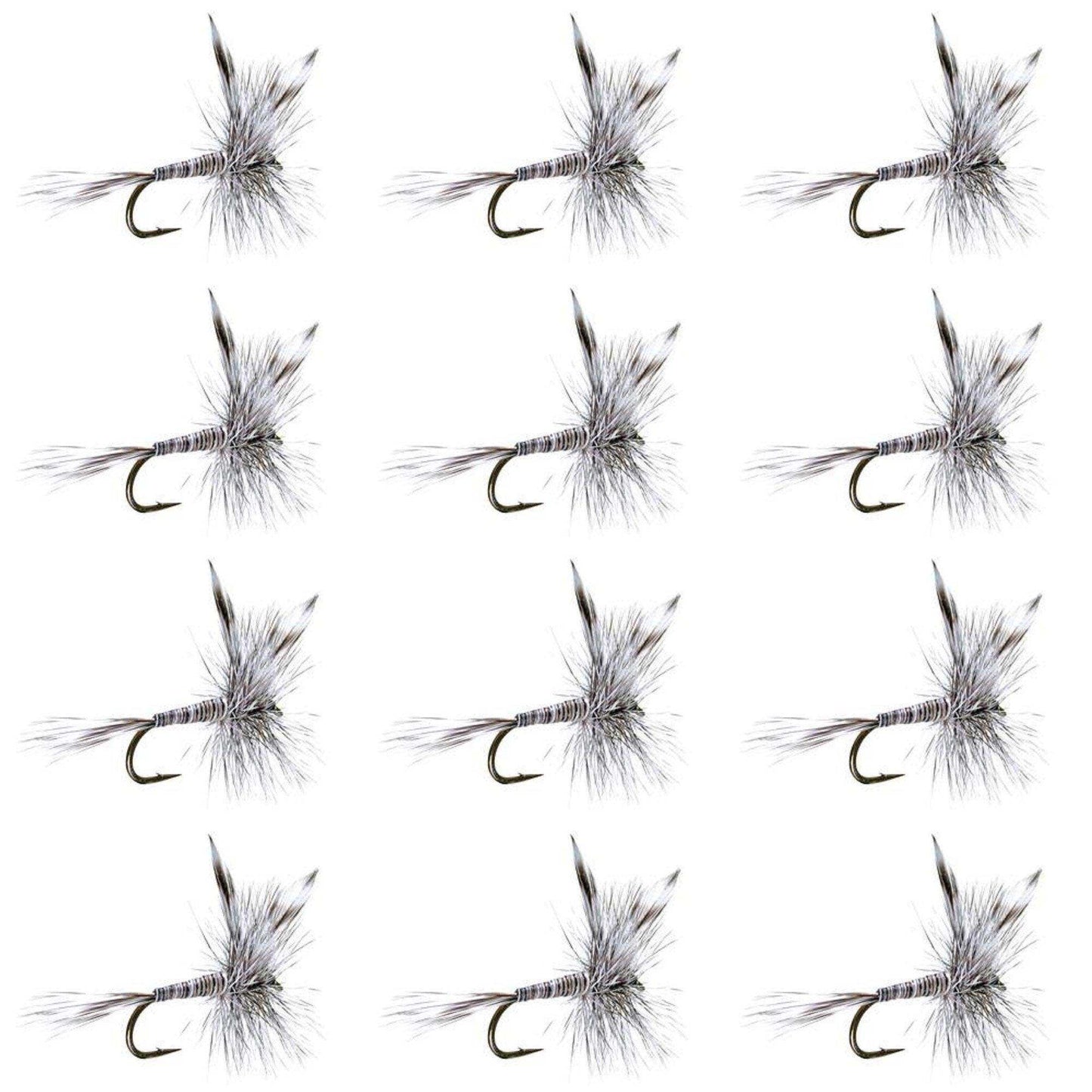 Mosquito Classic Trout Dry Fly Fishing Flies - 1 Dozen Size 10 - Skoutley Outdoors LLC