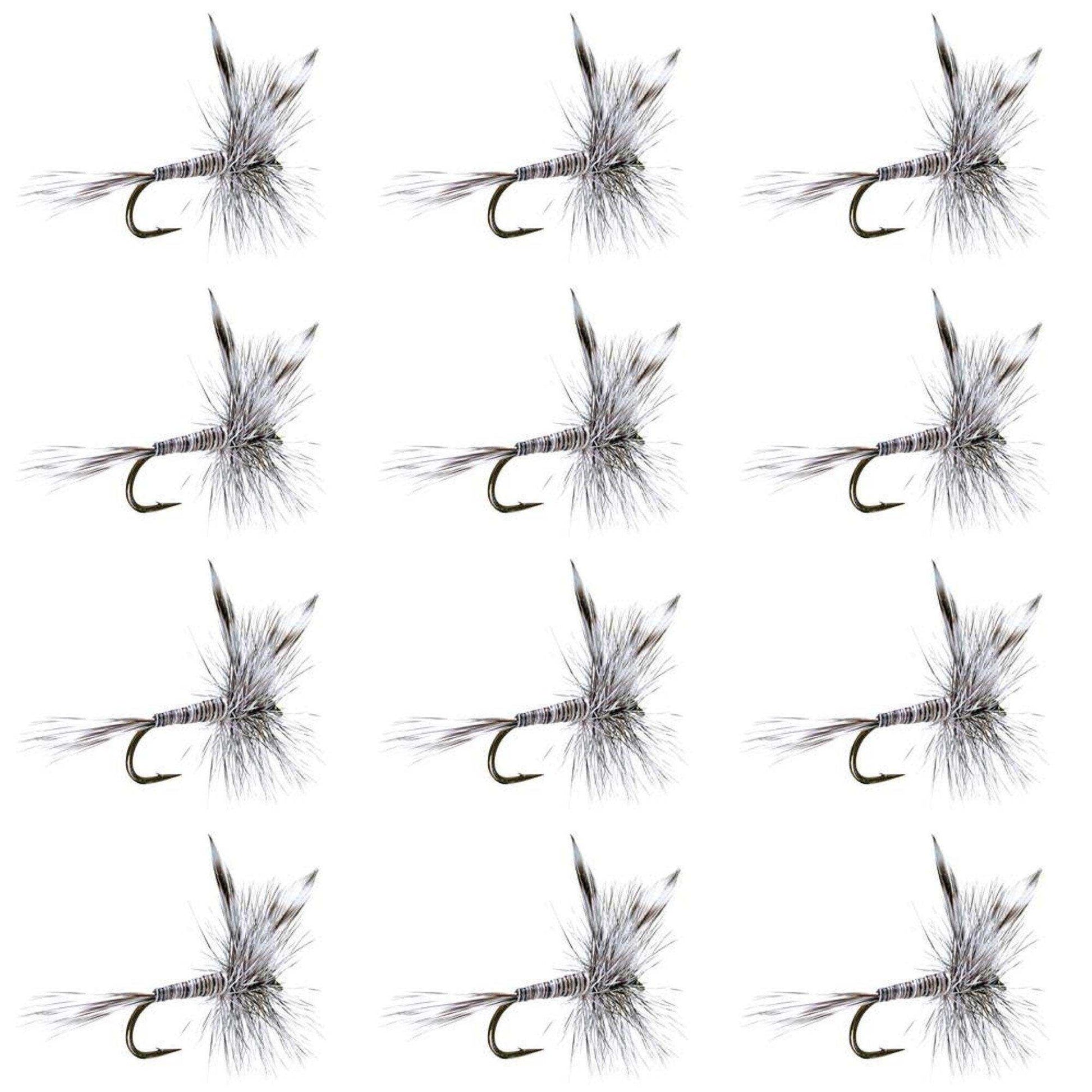 Mosquito Classic Trout Dry Fly Fishing Flies - 1 Dozen Size 10 - Skoutley Outdoors LLC