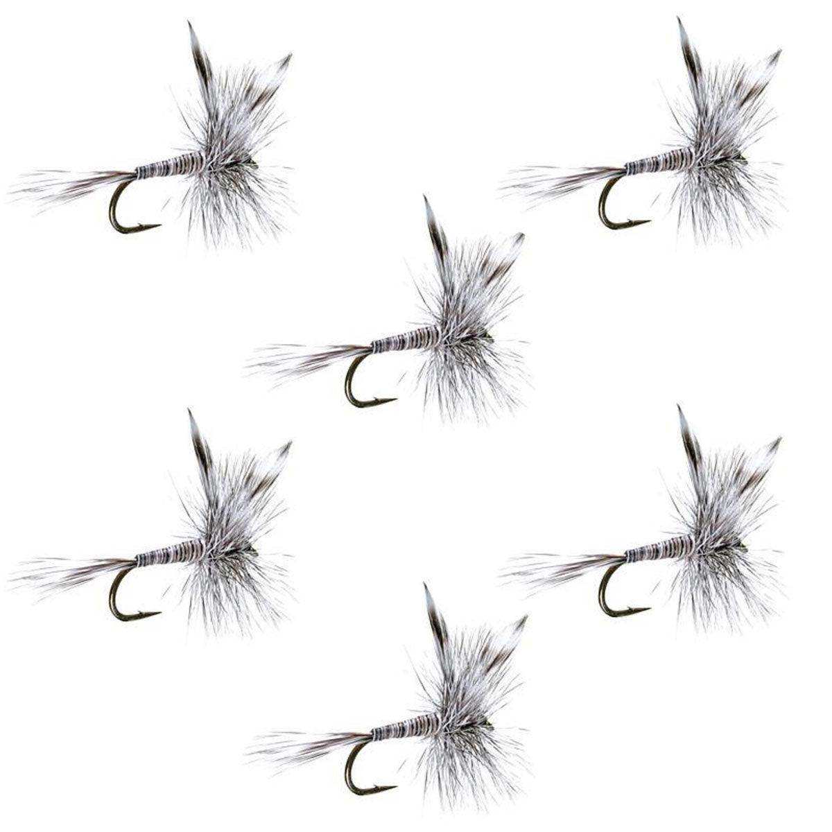 Mosquito Classic Trout Dry Fly Fishing Flies - Set of 6 Flies Size 10 - Skoutley Outdoors LLC