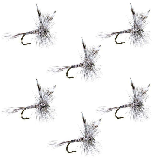 Mosquito Classic Trout Dry Fly Fishing Flies - Set of 6 Flies Size 18 - Skoutley Outdoors LLC