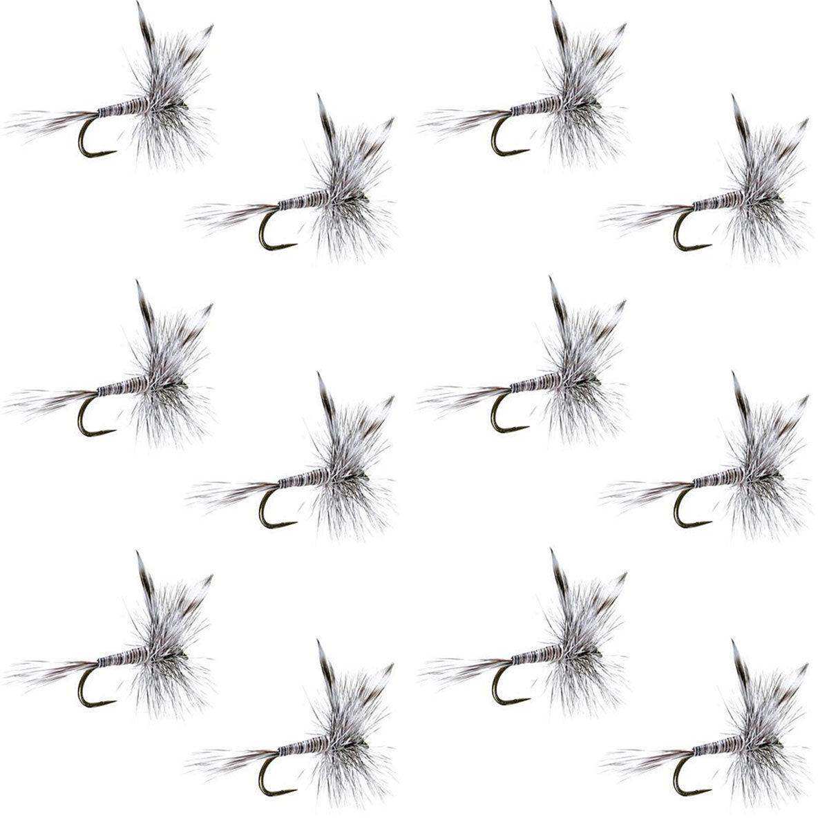 Barbless Mosquito Classic Trout Dry Fly Fishing 1 Dozen Flies - Hook Size 16 - Skoutley Outdoors LLC