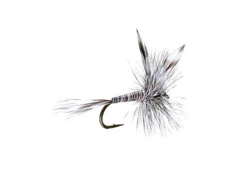 Mosquito Classic Trout Dry Fly Fishing Flies - Set of 6 Flies Size 10 - Skoutley Outdoors LLC