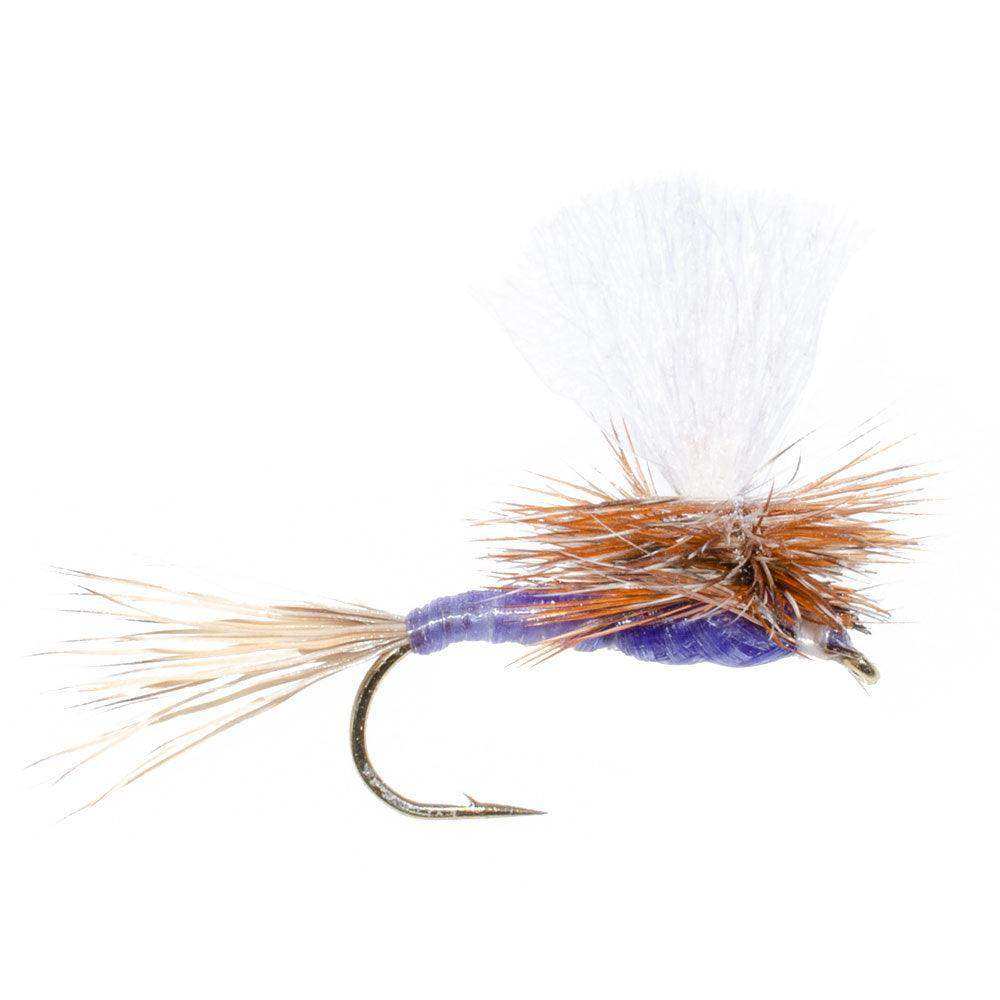 Parachute Purple Haze Dry Fly - 6 Flies Size 12 - Skoutley Outdoors LLC