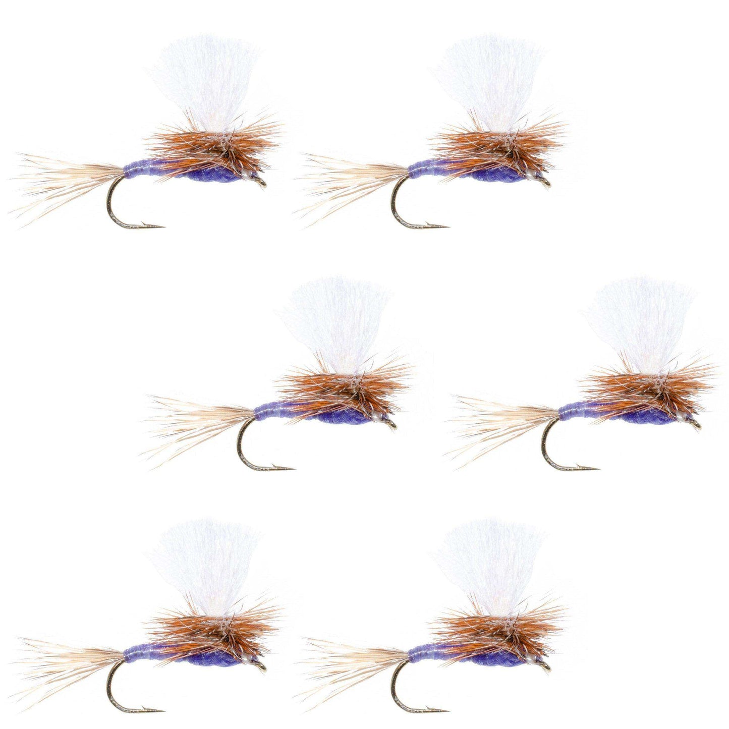 Parachute Purple Haze Dry Fly - 6 Flies Size 12 - Skoutley Outdoors LLC