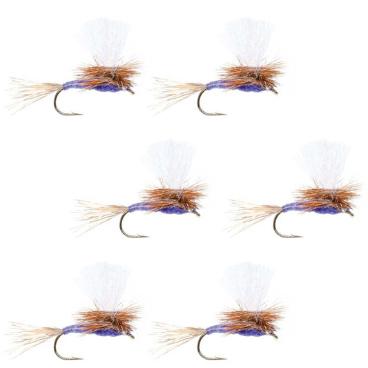 Parachute Purple Haze Dry Fly - 6 Flies Size 14 - Skoutley Outdoors LLC