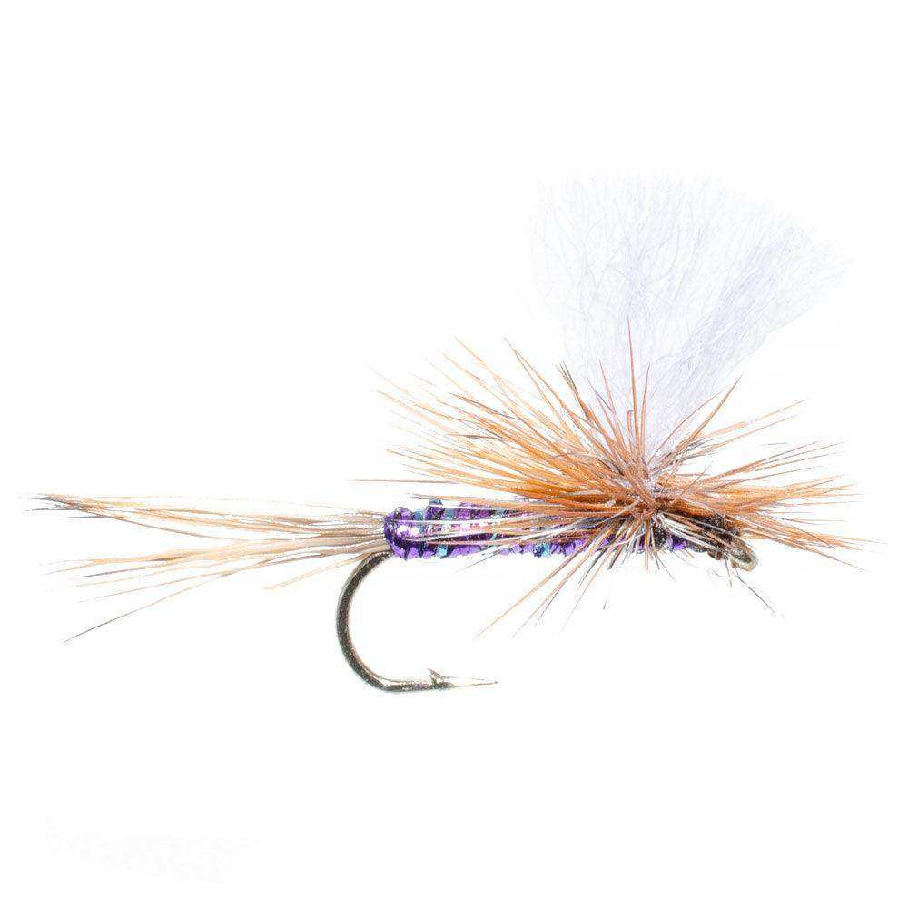 Parachute Super Flash Purple Haze Dry Fly - 6 Flies Size 16 - Skoutley Outdoors LLC