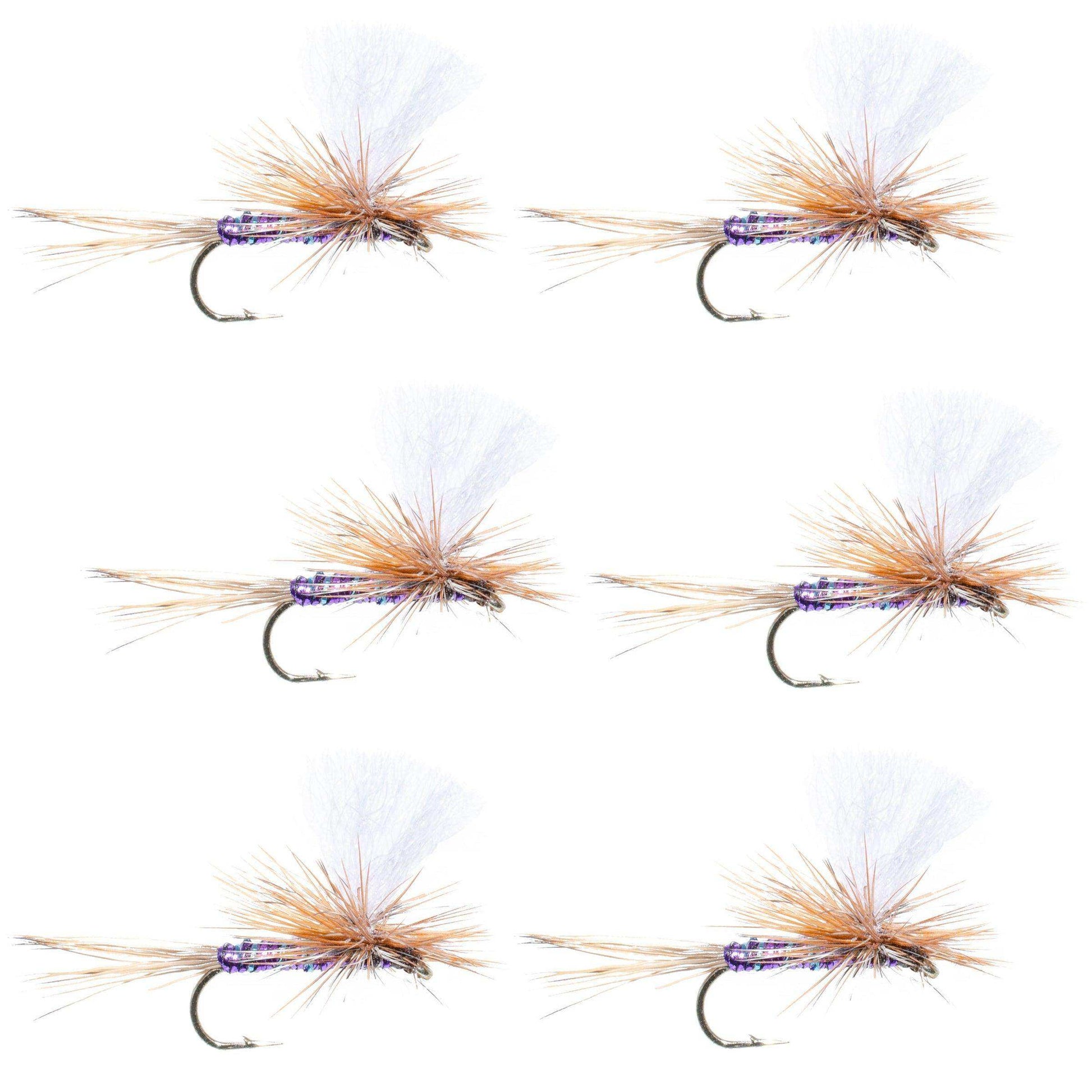 Parachute Super Flash Purple Haze Dry Fly - 6 Flies Size 16 - Skoutley Outdoors LLC