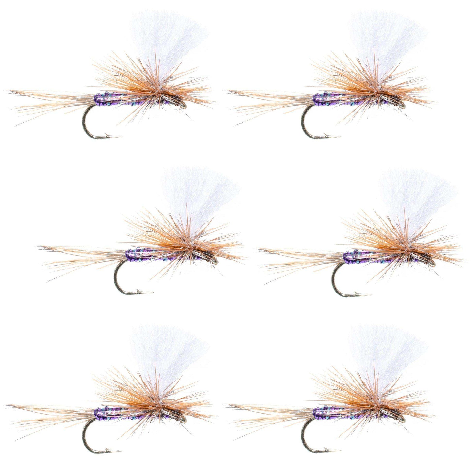 Parachute Super Flash Purple Haze Dry Fly - 6 Flies Size 14 - Skoutley Outdoors LLC